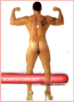 © BCNSFW website